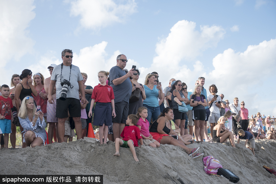 一只幼年抹香鯨擱淺美國(guó)海灘 眾人合力搶救