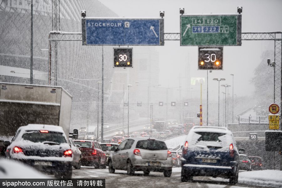 瑞典迎來今年第一場降雪 嚴重影響當?shù)亟煌?/></p>

<p align=