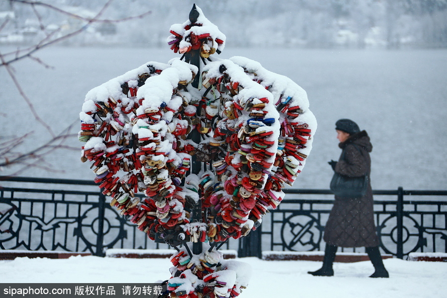 自然合奏曲！俄羅斯伊凡諾沃初冬皚皚白雪干凈純粹