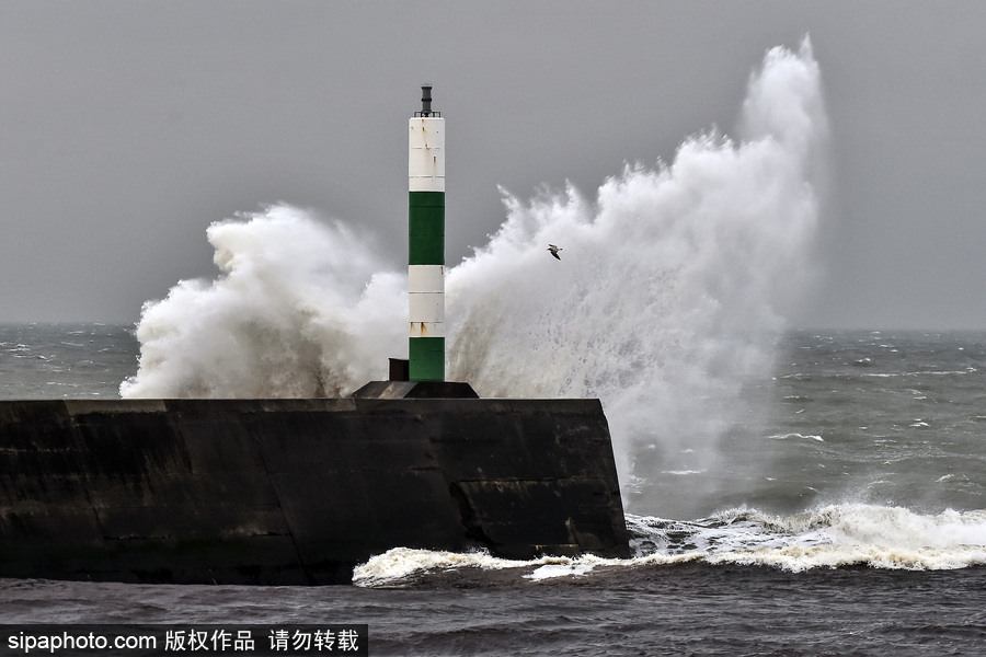 英國阿伯里斯特威斯遭大風(fēng)天氣 海邊巨浪拍岸場面壯觀