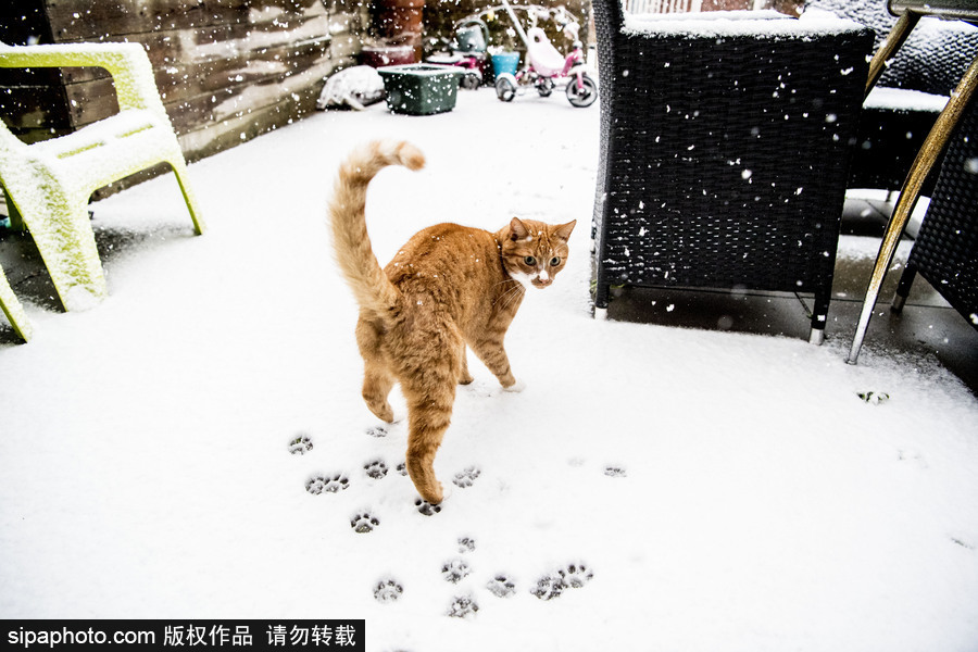 荷蘭鹿特丹降大雪 民眾騎車出行成雪人