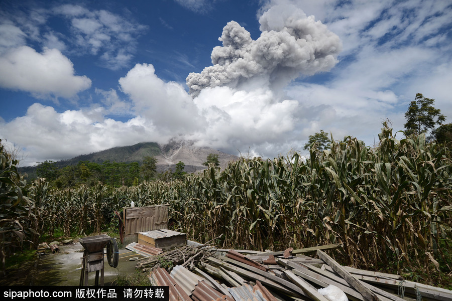 印尼錫納朋火山持續(xù)噴發(fā) 煙霧遮天蔽日