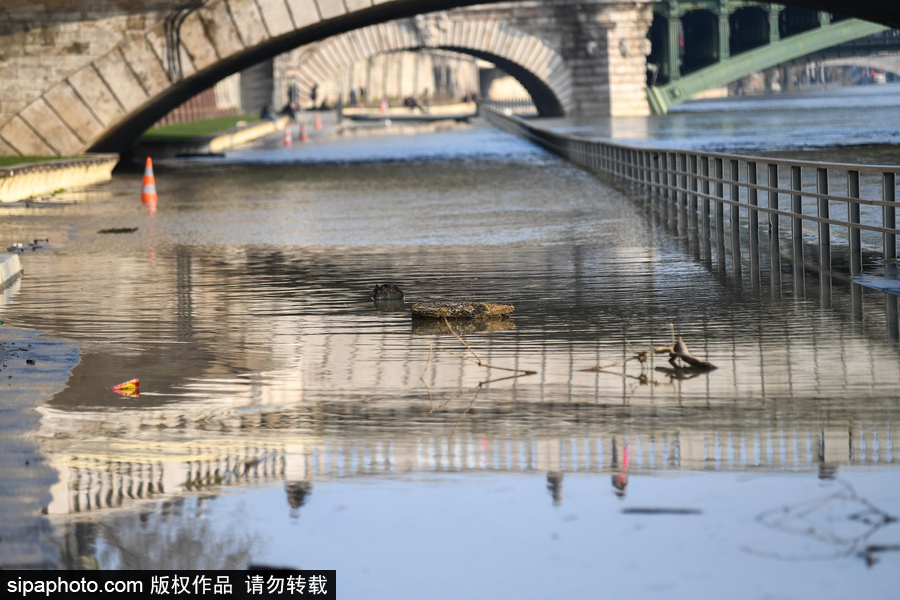 塞納河洪水后重新開放 河道淤泥堆積