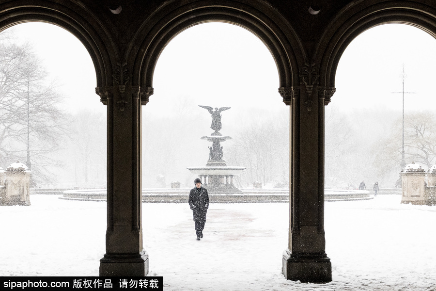 這波倒春寒來的迅猛！美國紐約遭遇暴雪天氣