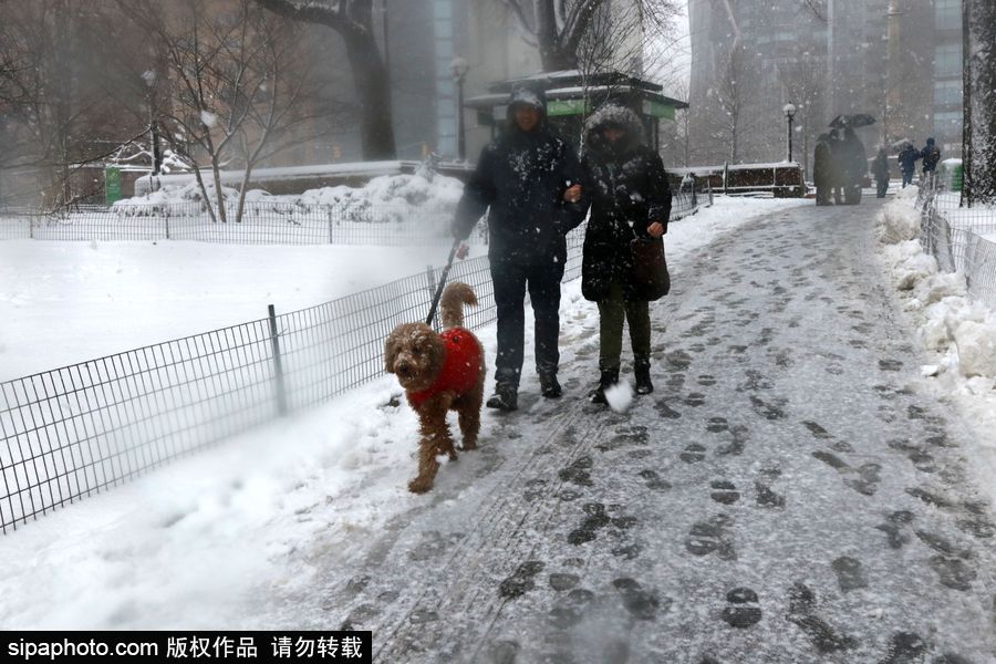 這波倒春寒來的迅猛！美國紐約遭遇暴雪天氣