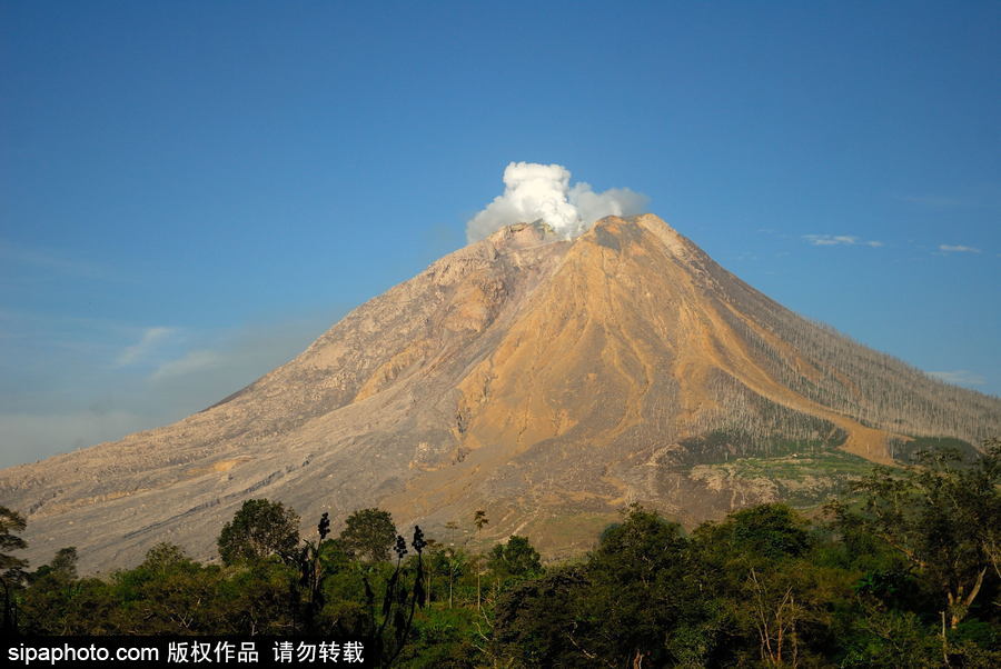 印尼錫納朋火山暫時(shí)趨于平緩 農(nóng)民菜田淡定勞作