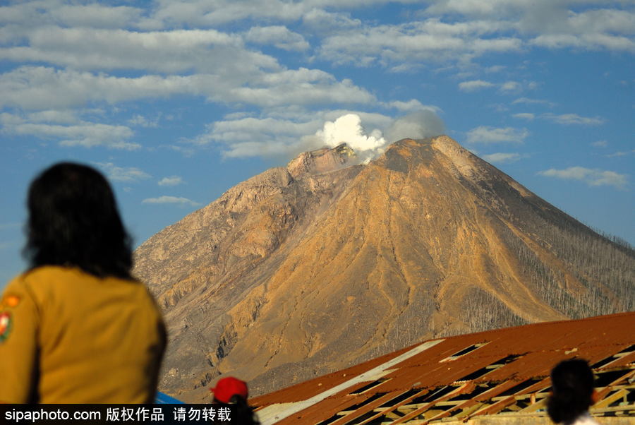 印尼錫納朋火山暫時(shí)趨于平緩 農(nóng)民菜田淡定勞作