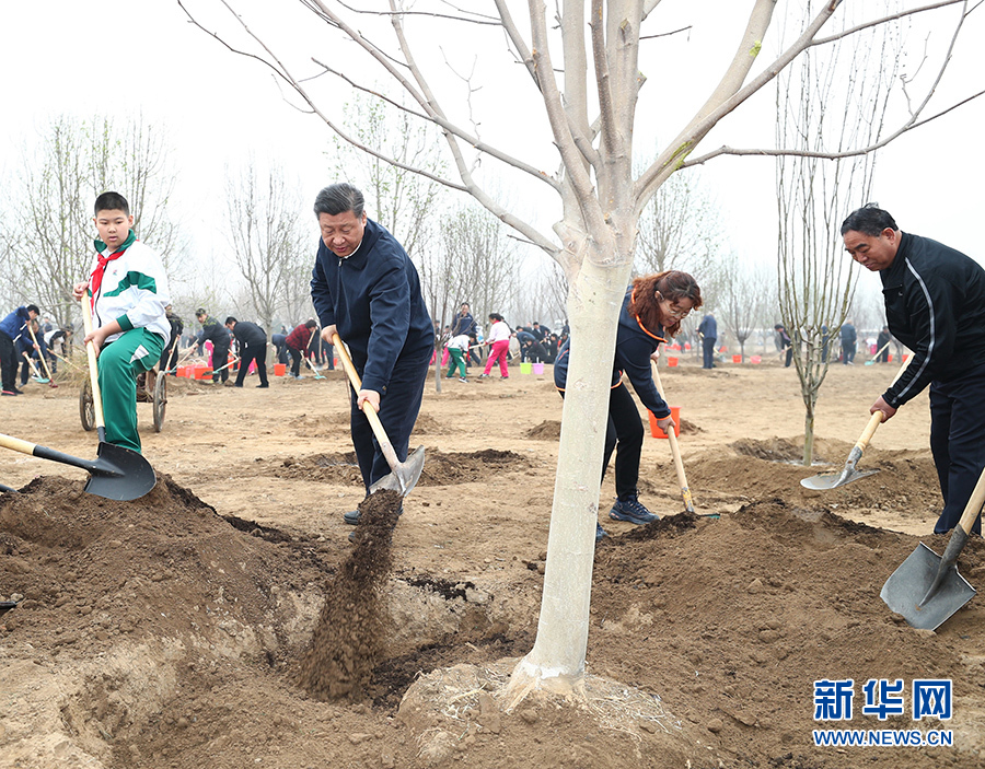 跟總書記一起“做種樹者”