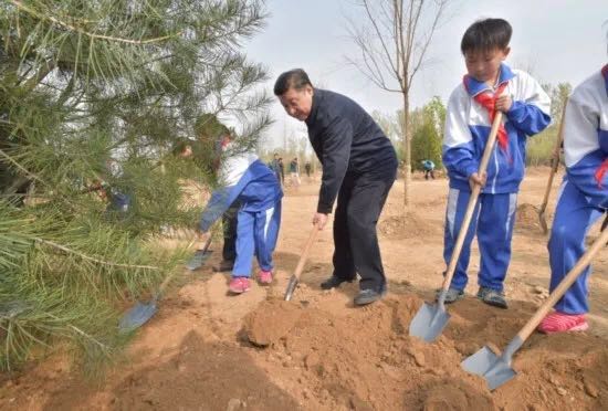 這件天下大事，看習(xí)近平是如何從“種一棵樹(shù)”做起的