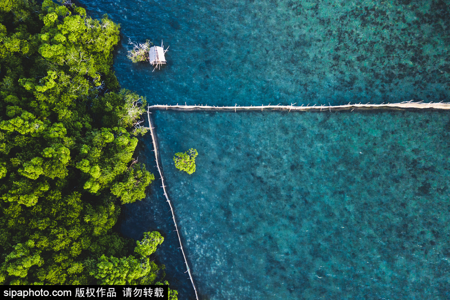 沉船潛水的世界勝地 隱世海島科隆