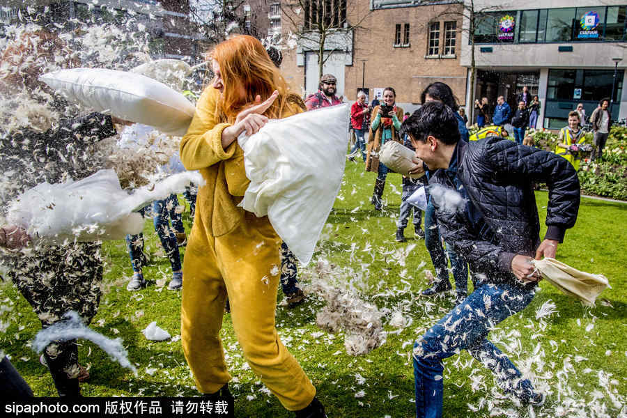 國(guó)際枕頭大戰(zhàn)日 荷蘭鹿特丹民眾街頭狂歡