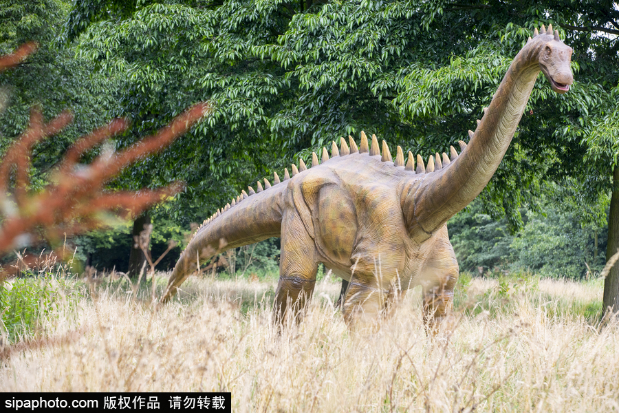 “侏羅紀(jì)王國”展覽首次亮相荷蘭 形象逼真似穿越回恐龍時代