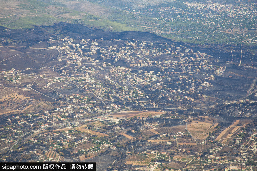 希臘山火過后的大地 一片黑色焦土