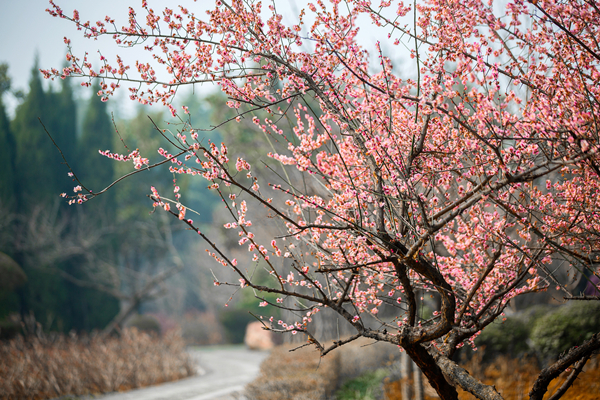 李曉萌：抵制‘文化垃圾’ 凈化網(wǎng)絡(luò)環(huán)境