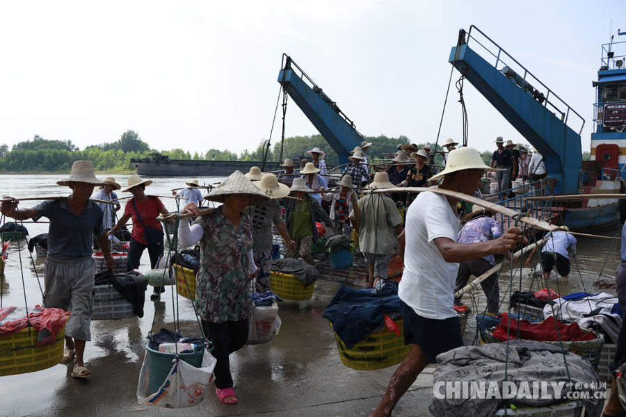 【發(fā)現(xiàn)長(zhǎng)江】安徽銅陵和悅洲蔬菜有機(jī)種植 居民與江豚和諧共生