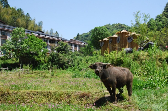 臺灣青年深入福建鄉(xiāng)村搞建設(shè)