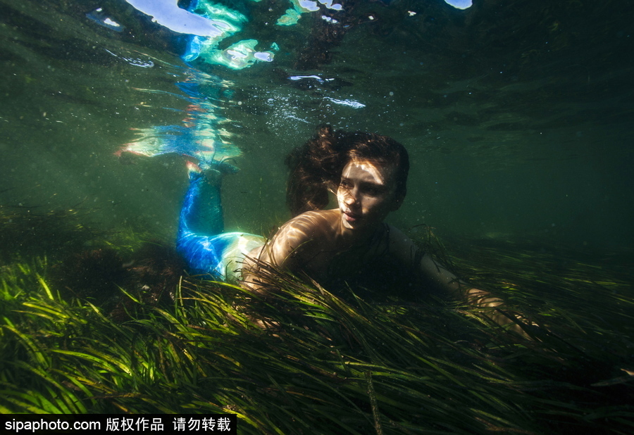 俄羅斯符拉迪沃斯托克：“美人魚”模特水中拍照再現(xiàn)童話場景