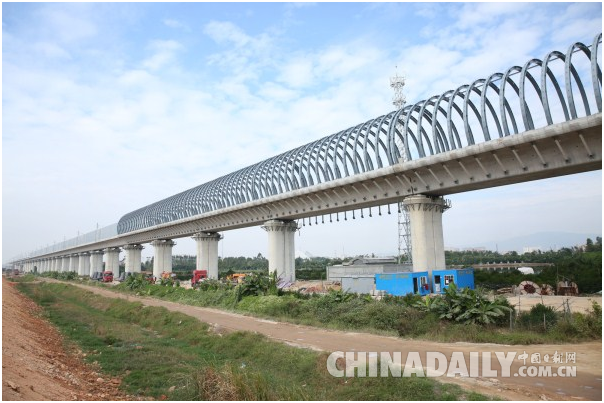 高鐵建全封閉屏障 護“小鳥天堂”歲月靜好